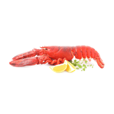 Lobster (Whole)